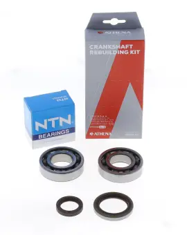 Kit Revisione Albero