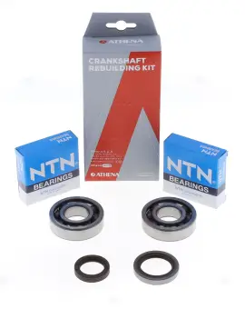 Kit Revisione Albero