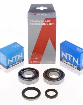 Kit Revisione Albero