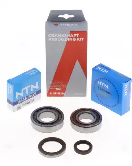 Kit Revisione Albero