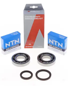 Kit Revisione Albero