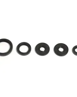 Serie Paraolio Motor