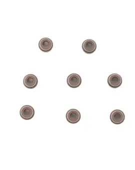 Serie Paraolio Guida