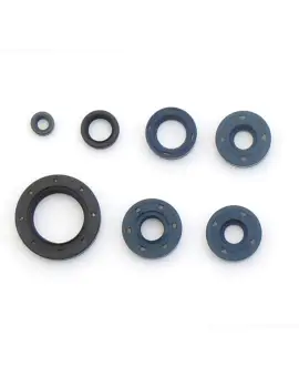 Serie Paraolio Motor