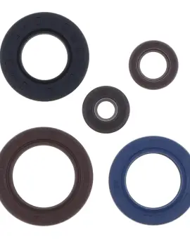 Serie Paraolio Motor