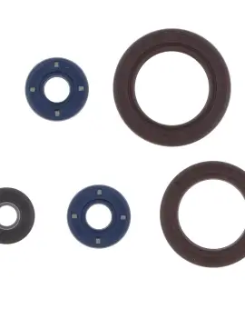 Serie Paraolio Motor