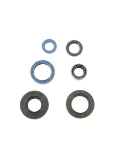Serie Paraolio Motor