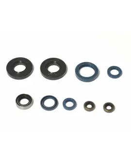 Serie Paraolio Motor