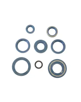 Serie Paraolio Motor