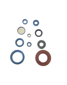 Serie Paraolio Motor