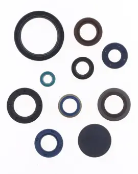 Serie Paraolio Motor