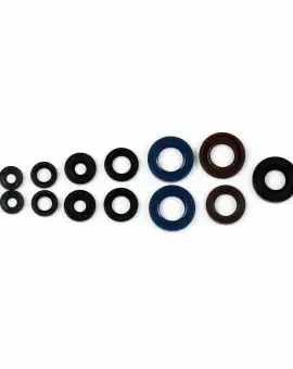 Serie Paraolio Motor
