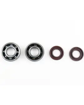 Kit Revisione Albero