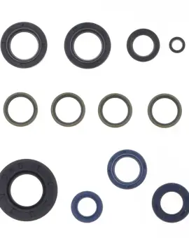 Serie Paraolio Motor