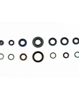 Serie Paraolio Motor