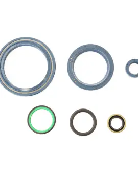 Serie Paraolio Motor