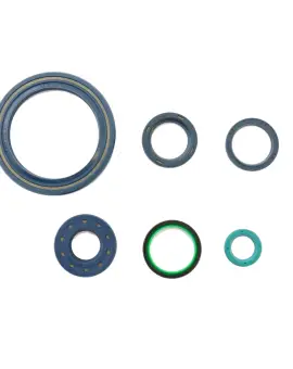 Serie Paraolio Motor
