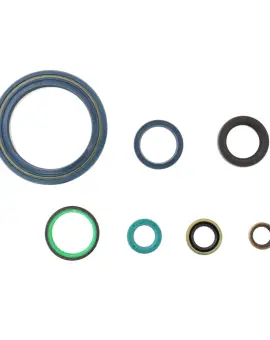 Serie Paraolio Motor