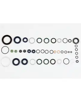 Serie Paraolio Motor