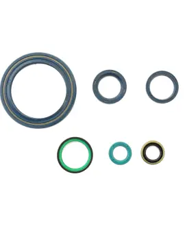Serie Paraolio Motor