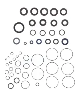 Serie Paraolio Motor