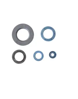 Serie Paraolio Motor