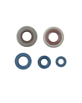 Serie Paraolio Motor