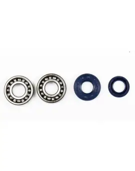 Kit Revisione Albero