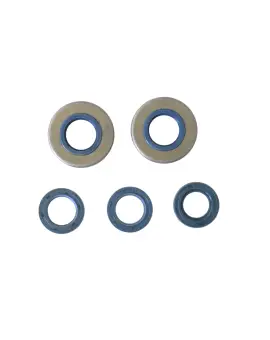 Serie Paraolio Motor