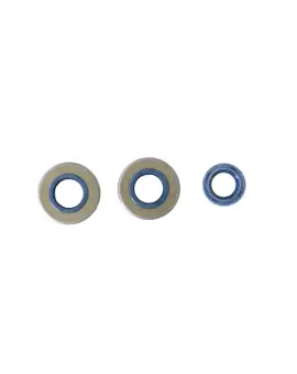 Serie Paraolio Motor