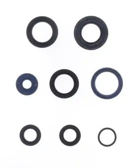 Serie Paraolio Motor