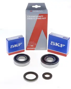 Kit Revisione Albero