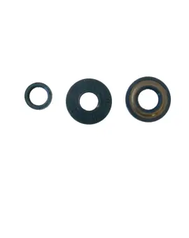 Serie Paraolio Motor