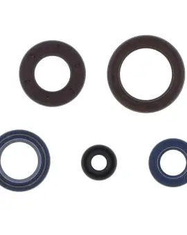 Serie Paraolio Motor