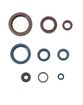 Serie Paraolio Motor