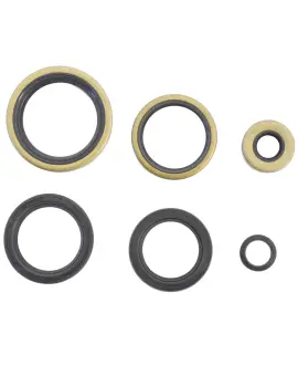 Serie Paraolio Motor