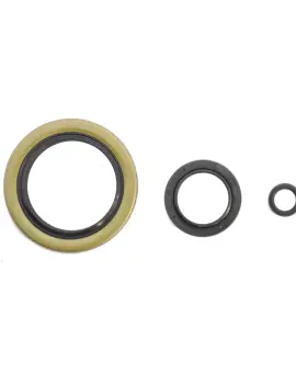 Serie Paraolio Motor