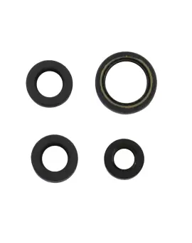 Serie Paraolio Motor