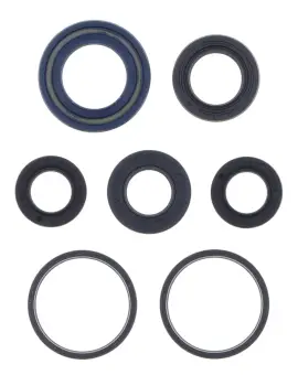 Serie Paraolio Motor