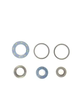 Serie Paraolio Motor
