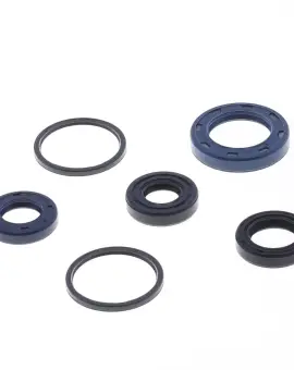 Serie Paraolio Motor