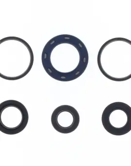 Serie Paraolio Motor