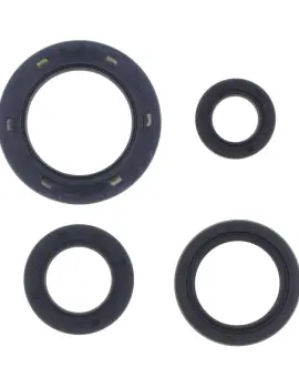 Serie Paraolio Motor