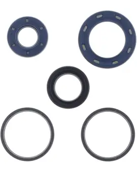 Serie Paraolio Motor