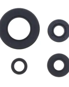 Serie Paraolio Motor