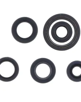 Serie Paraolio Motor