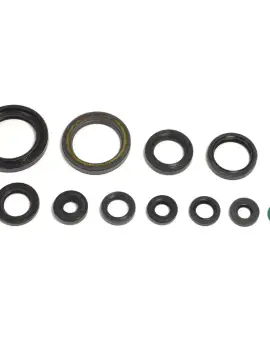 Serie Paraolio Motor