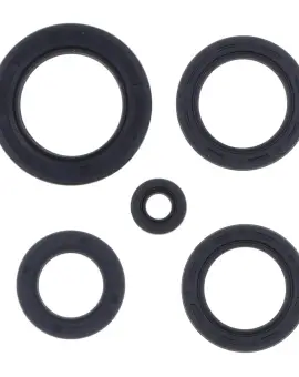 Serie Paraolio Motor