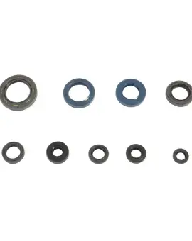 Serie Paraolio Motor