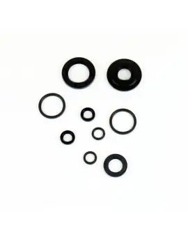 Serie Paraolio Motor